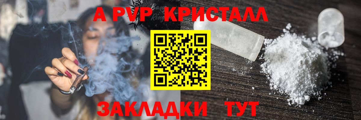 Alfa_PVP СК КРИС Гагарин