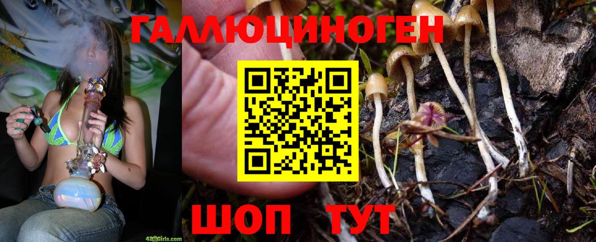 Гагарин  Галлюциногенные грибы Cubensis  Галлюциногенные грибы Cubensis  Вход с VPN 